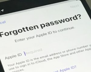 Esqueceu sua senha de ID da Apple? Veja como recuperar