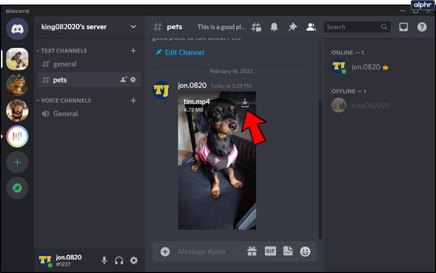 Como baixar vídeos do Discord