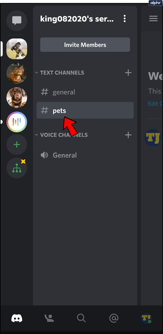 Como baixar vídeos do Discord