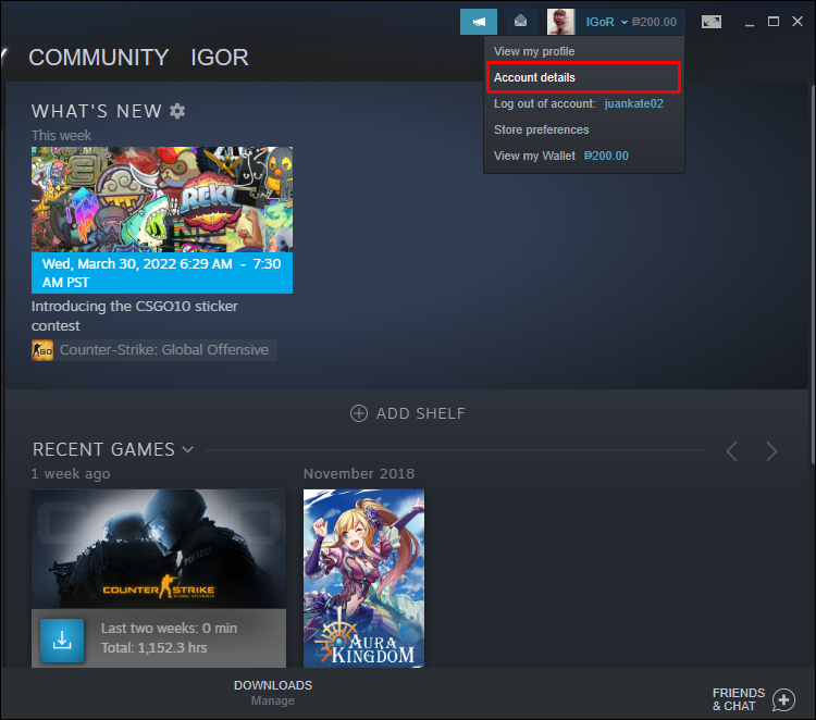 Como corrigir o erro Steam “Sua transação não pode ser concluída…”